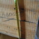 Vintage "Rapsodie" wooden box
