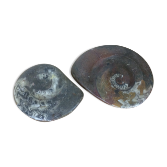 Pair of empty fossilized ammonite pockets