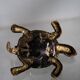 Golden brass turtle in decorative ashtray