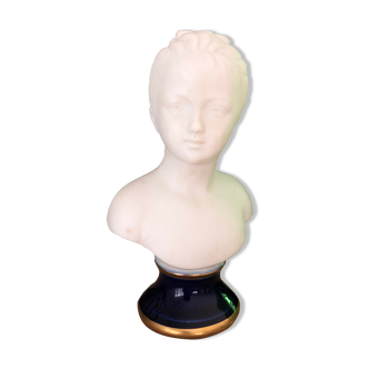 Biscuit bust