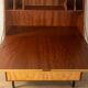 1950s Writing Desk, Oldenburger Möbelwerkstätten