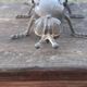 Brass fly ashtray