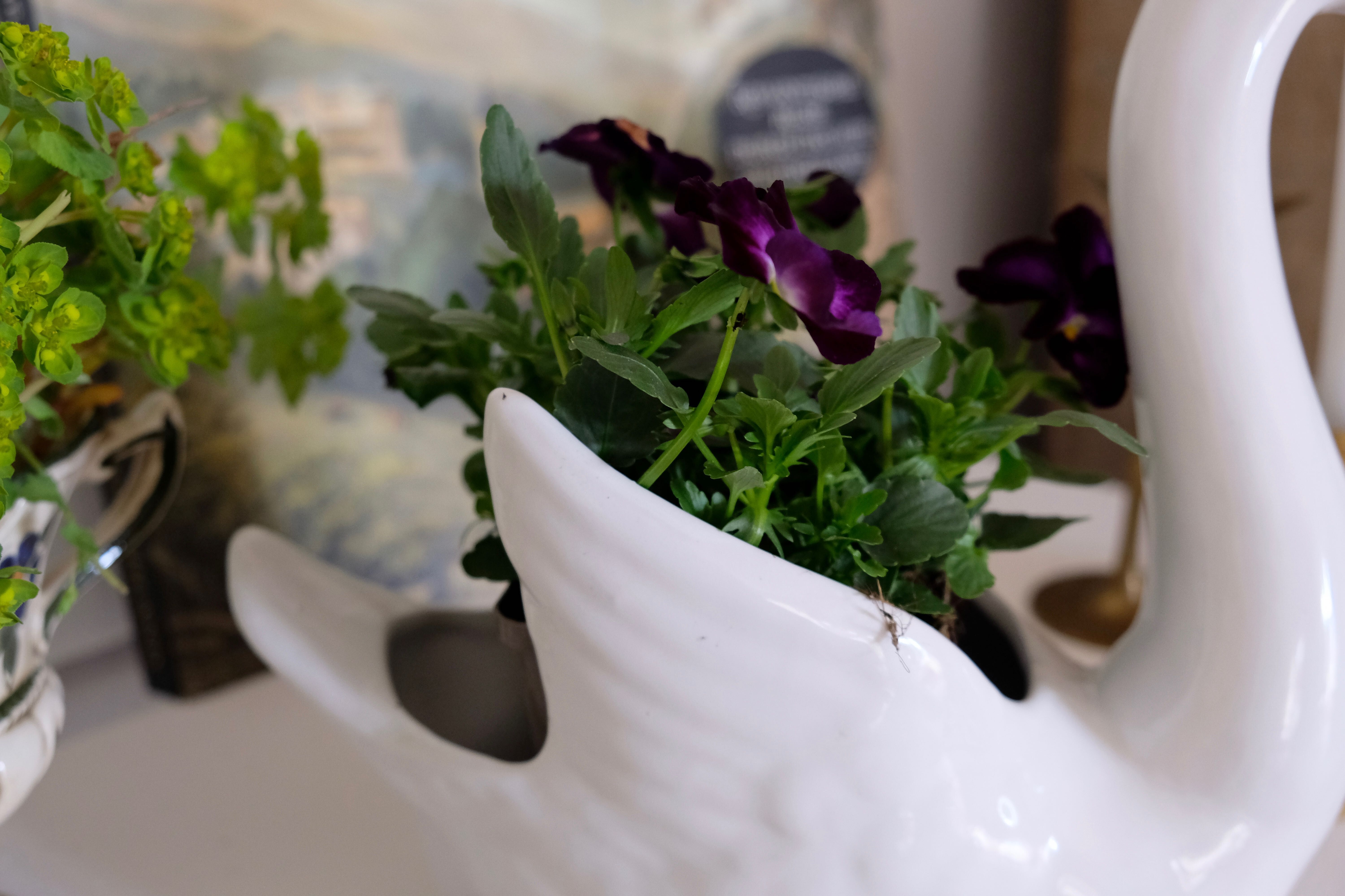 Swan pot cover "Faïence d'Art"