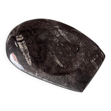 Plat en pierre fossile orthoceras noir vintage – Pierre naturelle polie