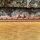 Old bench in Louis XVI style