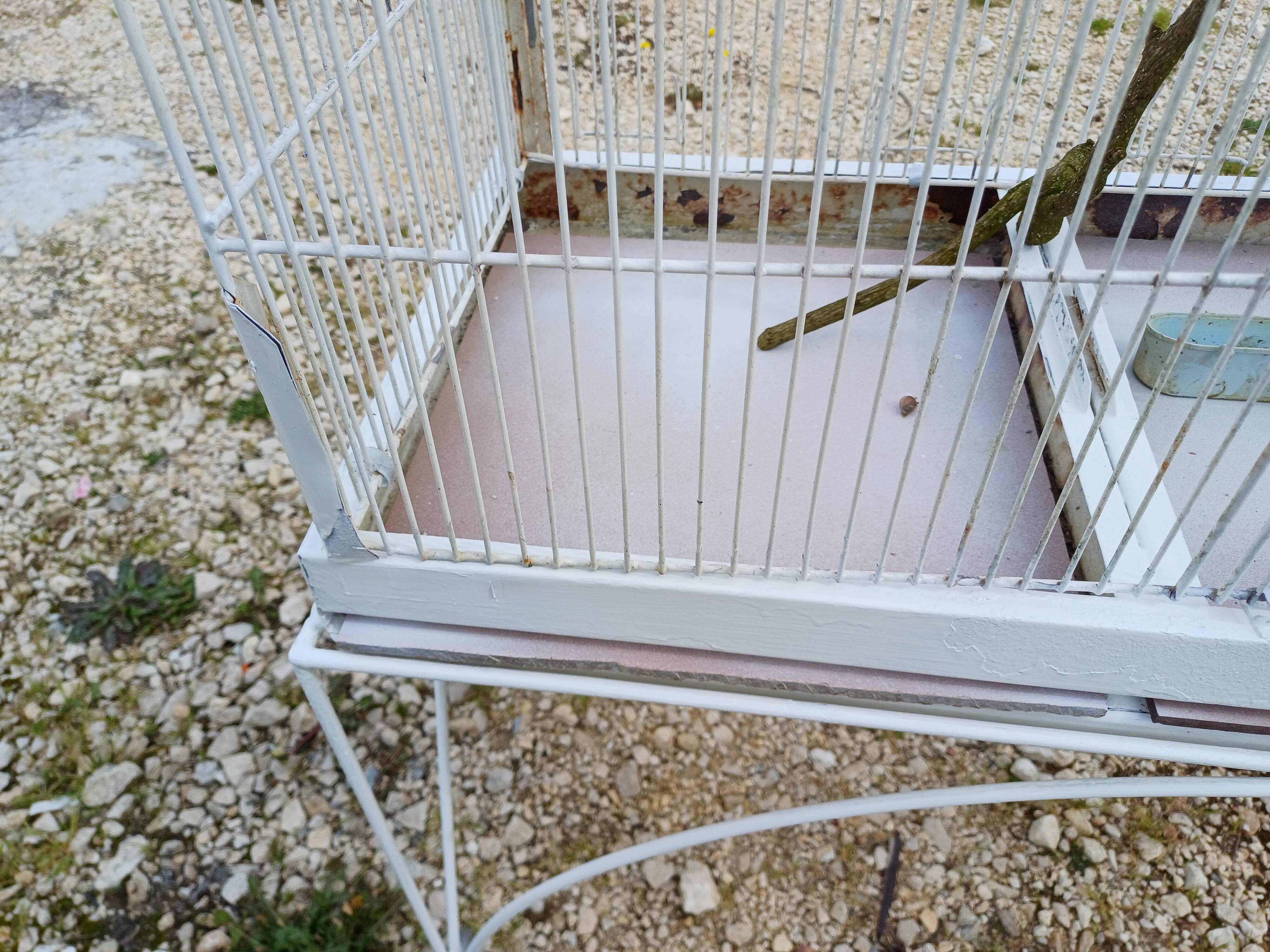 Cage à Oiseaux Fer 1900