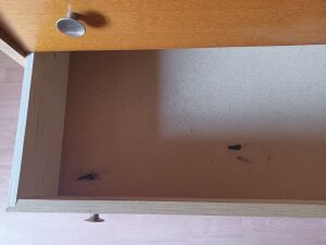 Vintage light wood chest of drawers from the 1970s.