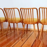 Set of chairs designed by A. Suman, Czechoslovakia, the 60s