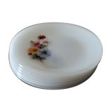 Set of arcopal dessert plates