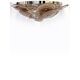 Contemporary Venied-Brown Disks Flush Mount