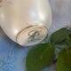 Hand-painted pearlescent porcelain vase