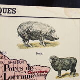 Vintage poster "Domestic animals"