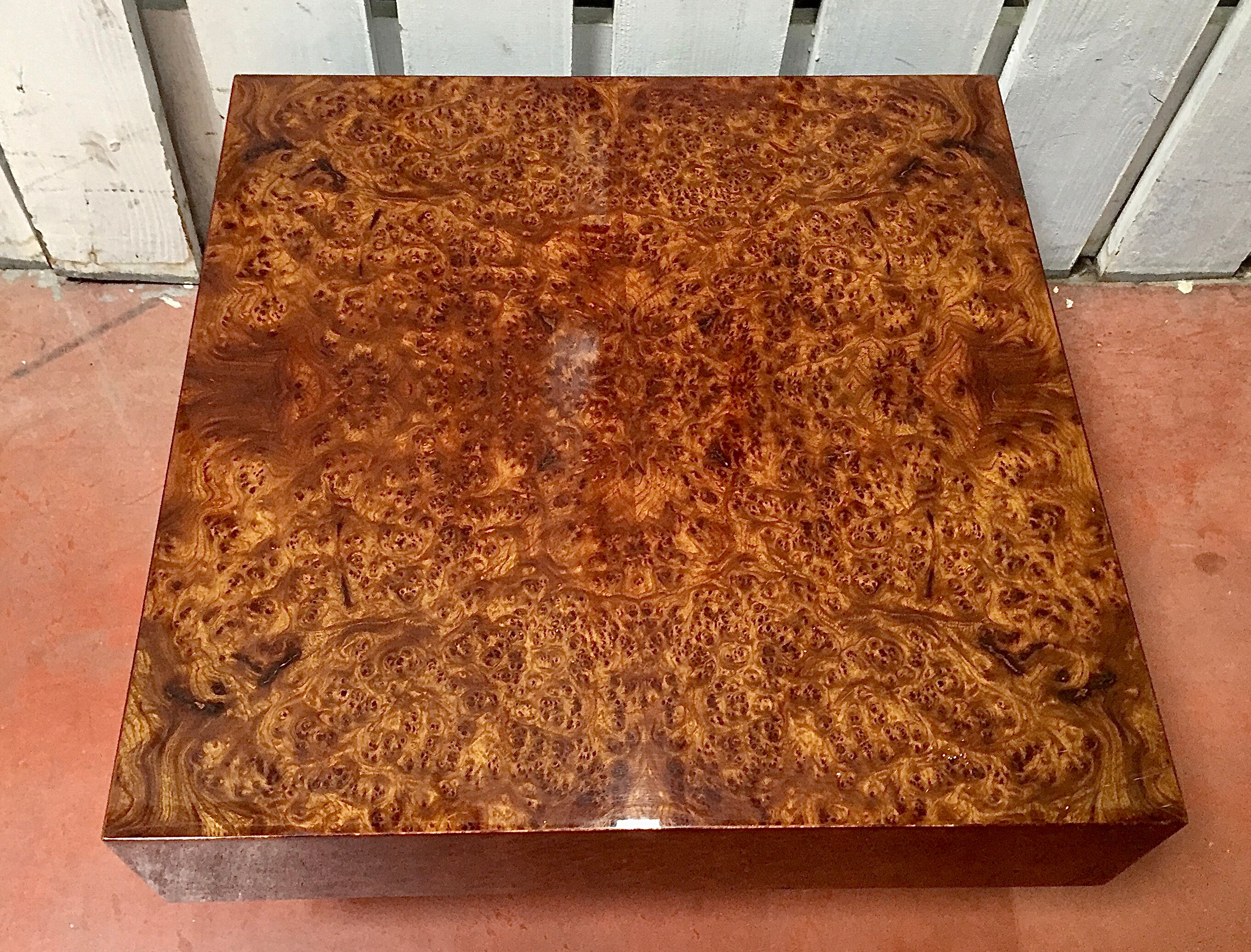 Elm magnifying glass coffee table