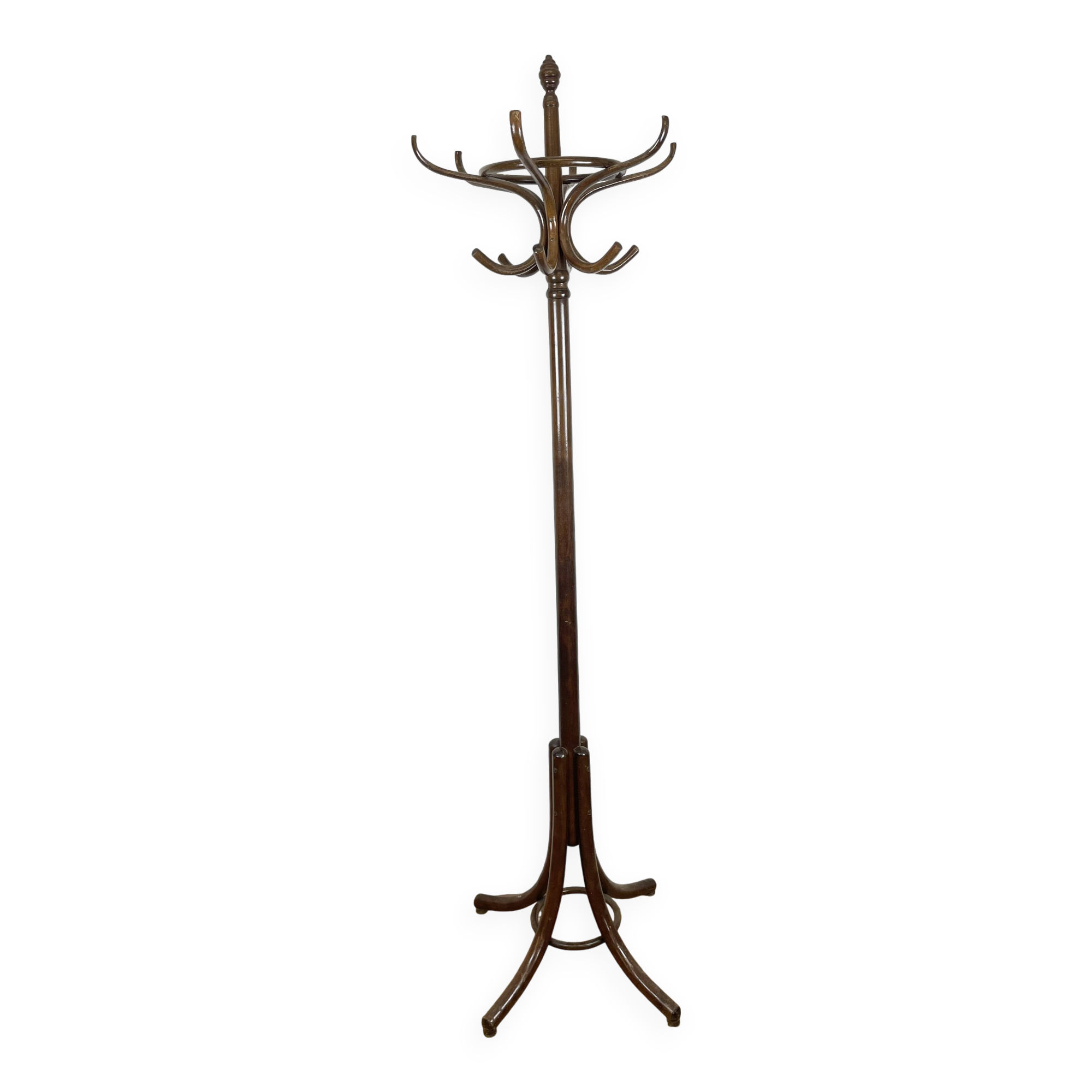 Parrot Coat Rack in Curved Wood-526001