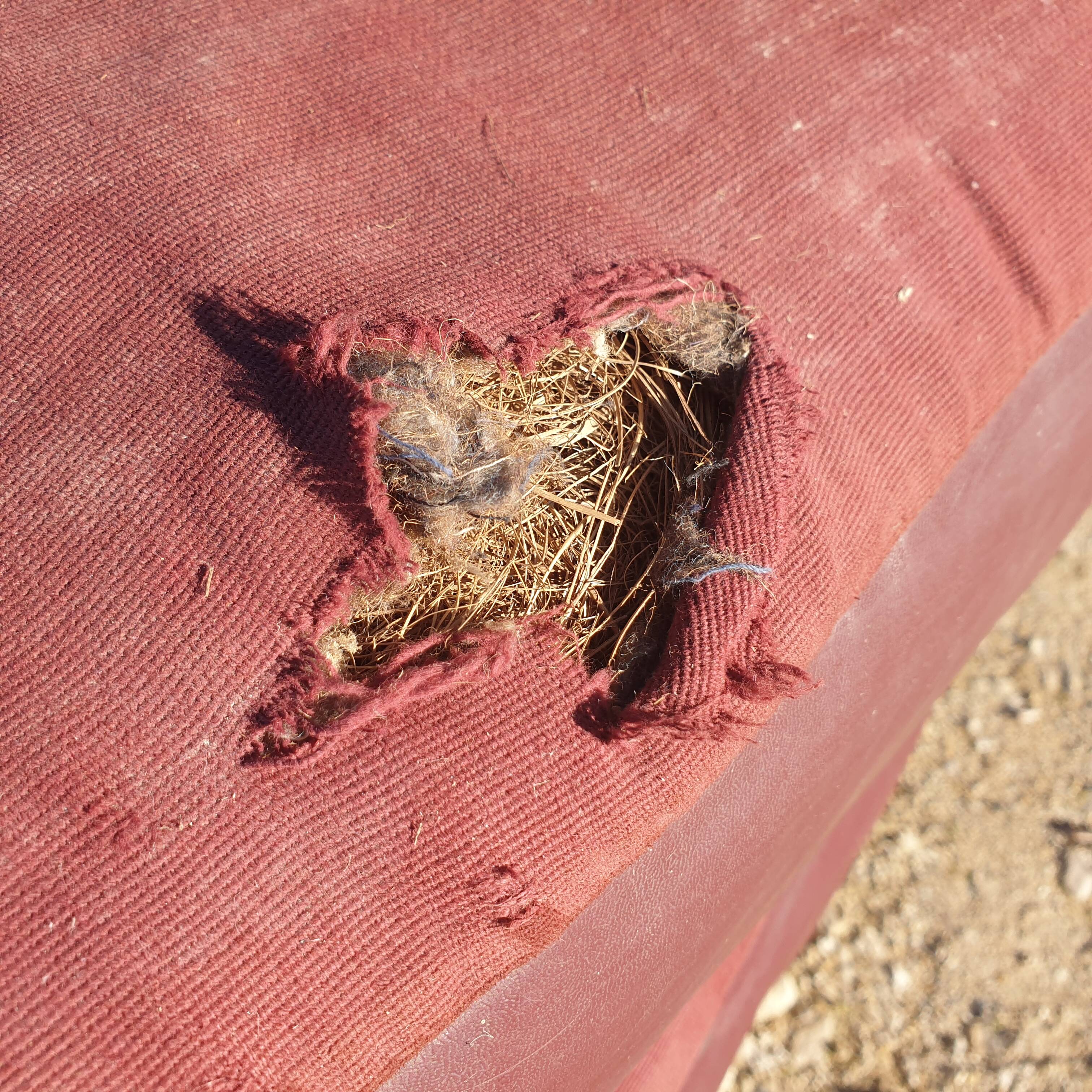 Vintage "Bain De Soleil" Armchair in Oak and Faux Leather Cushions - 20th Century