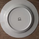 Large bird of paradise presentation plate