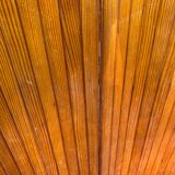 Baumann screen