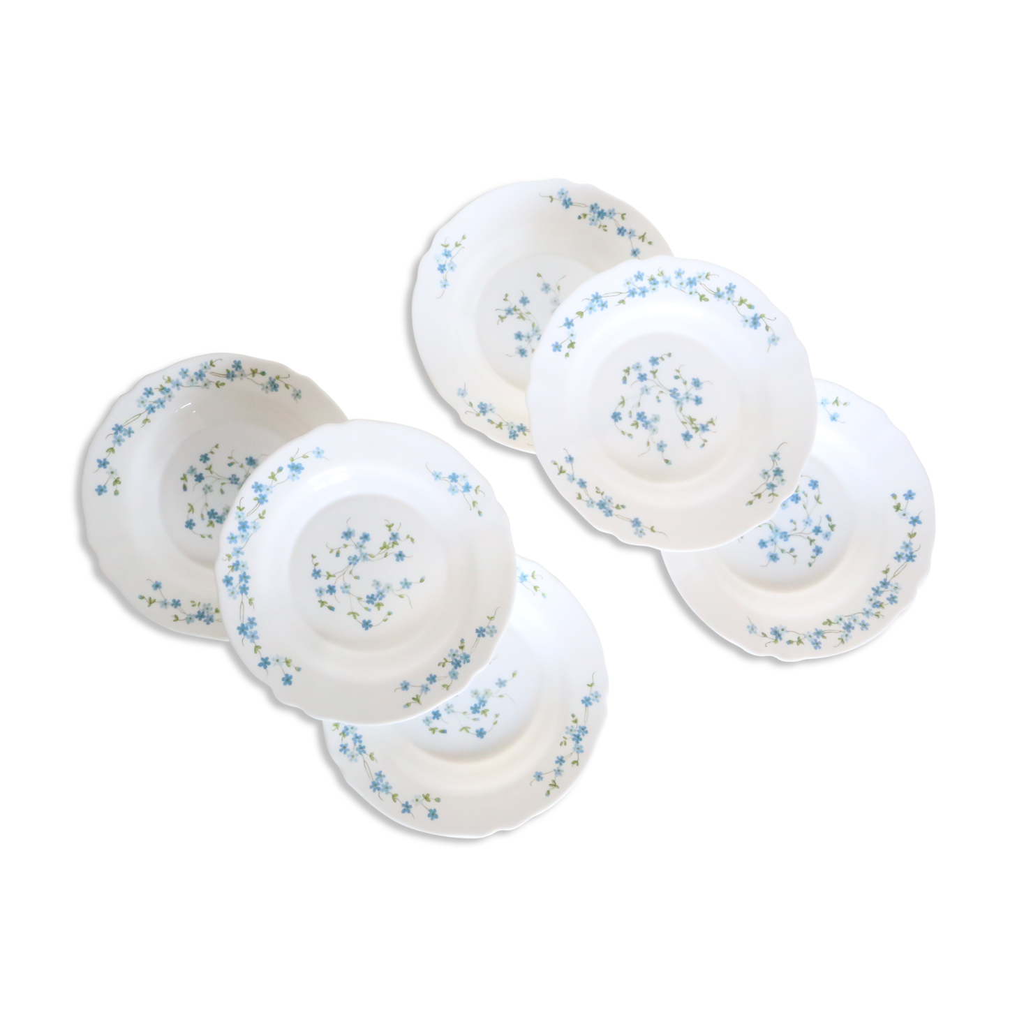 Set of 6 hollow plates Arcopal pattern Veronica