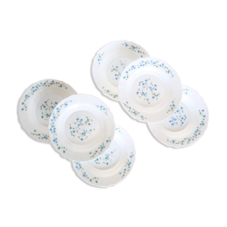 Set of 6 hollow plates Arcopal pattern Veronica