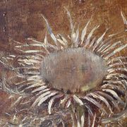 Charles Jung, Thistles in a Green Glass Jug (1900)