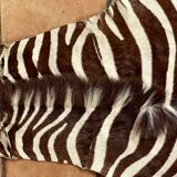 Real zebra skin