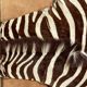 Real zebra skin