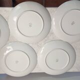 Porcelain flat plates with floral decoration