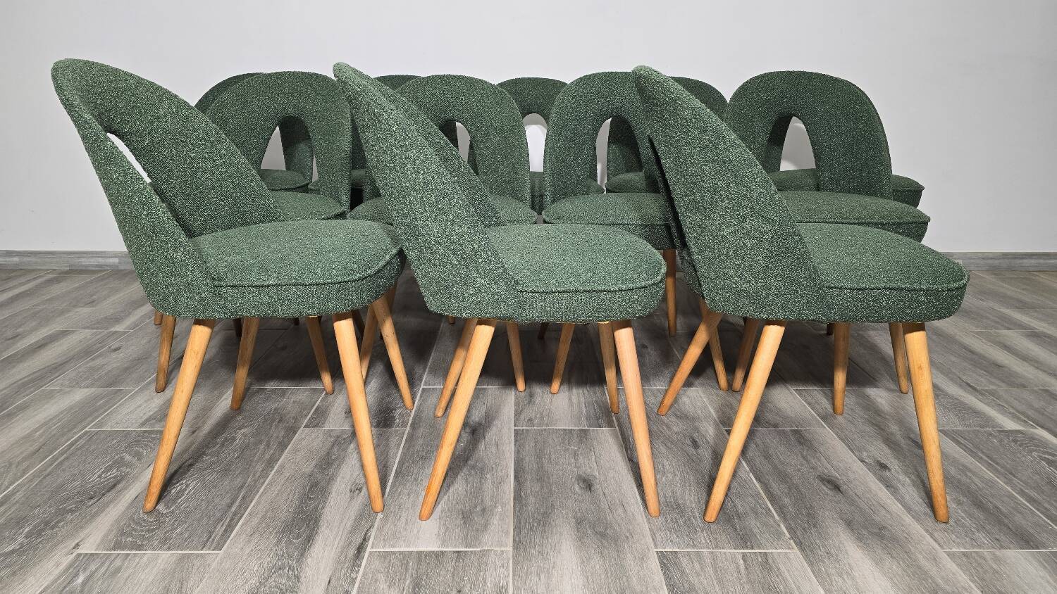 Dining Chairs by Antonin Suman, 1960s, Set of 12