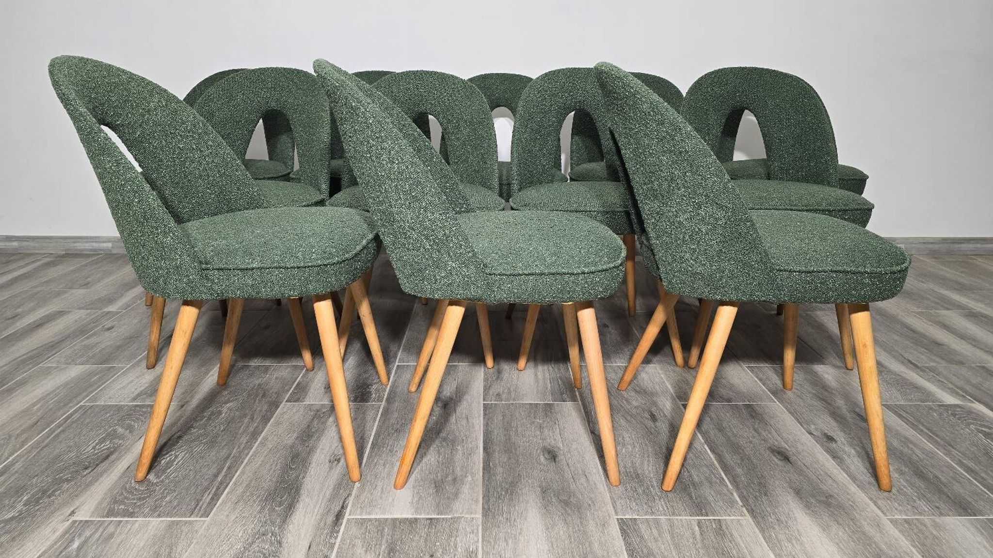 Dining Chairs by Antonin Suman, 1960s, Set of 12