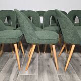 Dining Chairs by Antonin Suman, 1960s, Set of 12