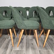 Dining Chairs by Antonin Suman, 1960s, Set of 12