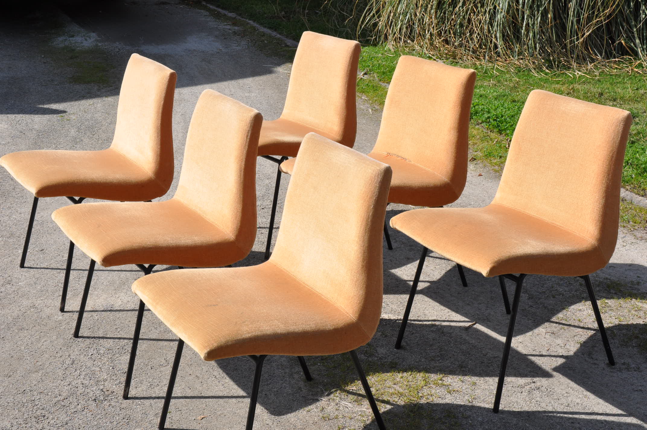 Pierre Paulin chairs