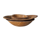 5 dishes in pressed laminated wood