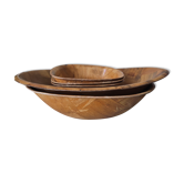 5 dishes in pressed laminated wood