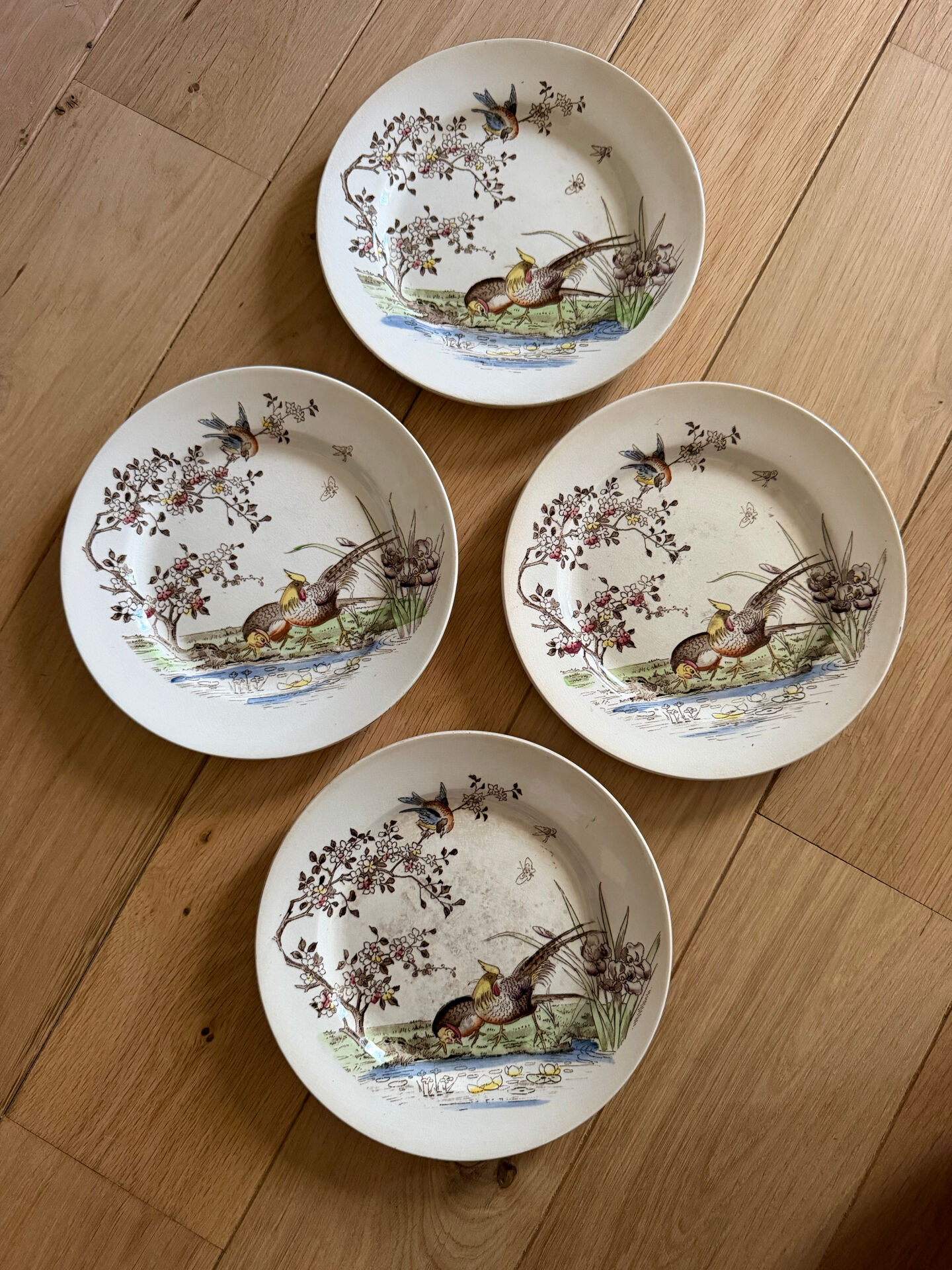 Polychrome ironstone dessert plates from Digoin and Sarreguemines.