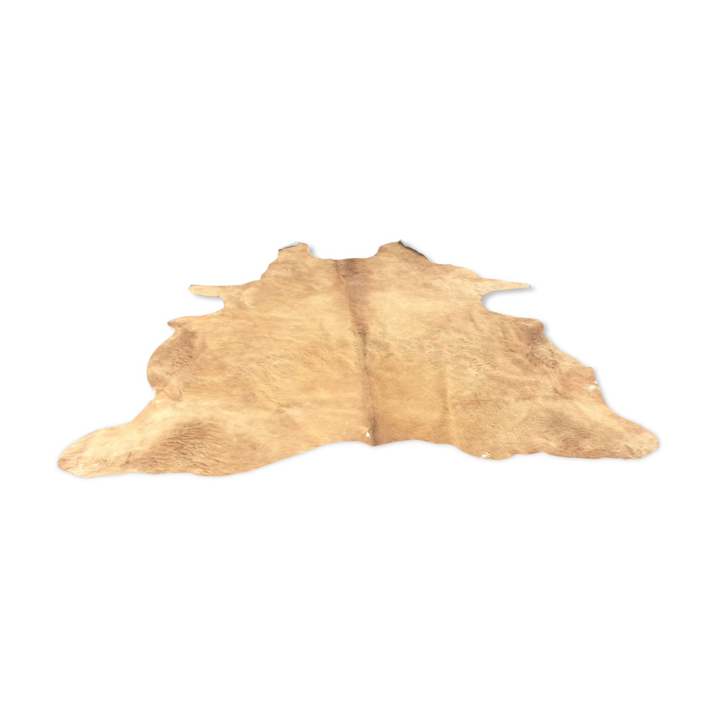 Cowhide leather, color brown glazed