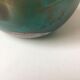 Blown glass soliflora. Very nice color gradient.