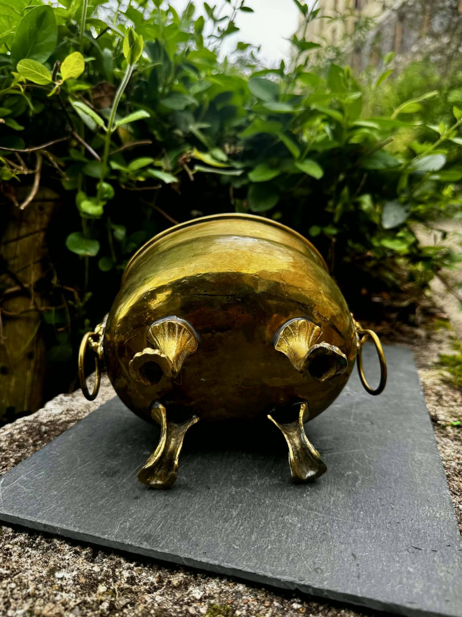 Baroque lion brass jardinière