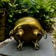 Baroque lion brass jardinière