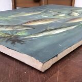 Congolese School Aquatic fauna Oil on canvas signed