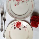 Old flat plates mismatched in earthenware