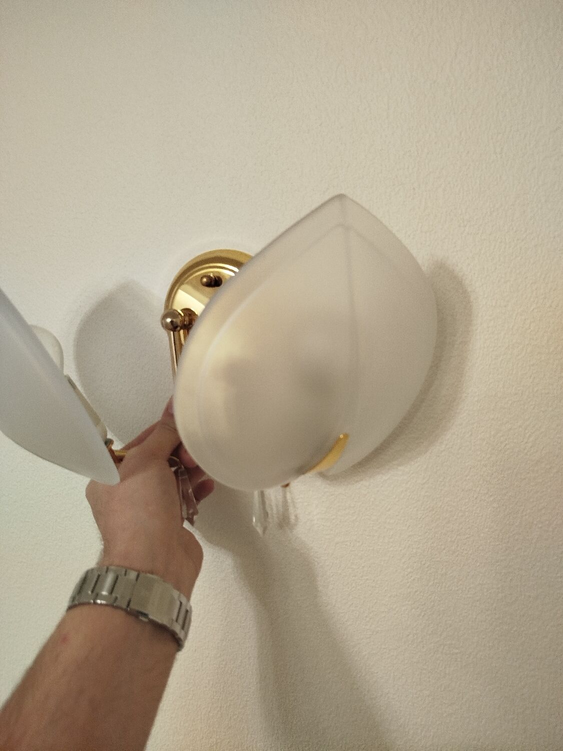 Pair of double wall sconces, gold leaf, shell, Hollywood Regency