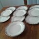 9 assiettes à  dessert et assiette à talon . sarreguemines,decirs de fleurs