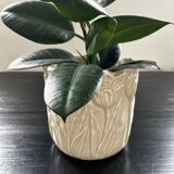 Floral slip planter