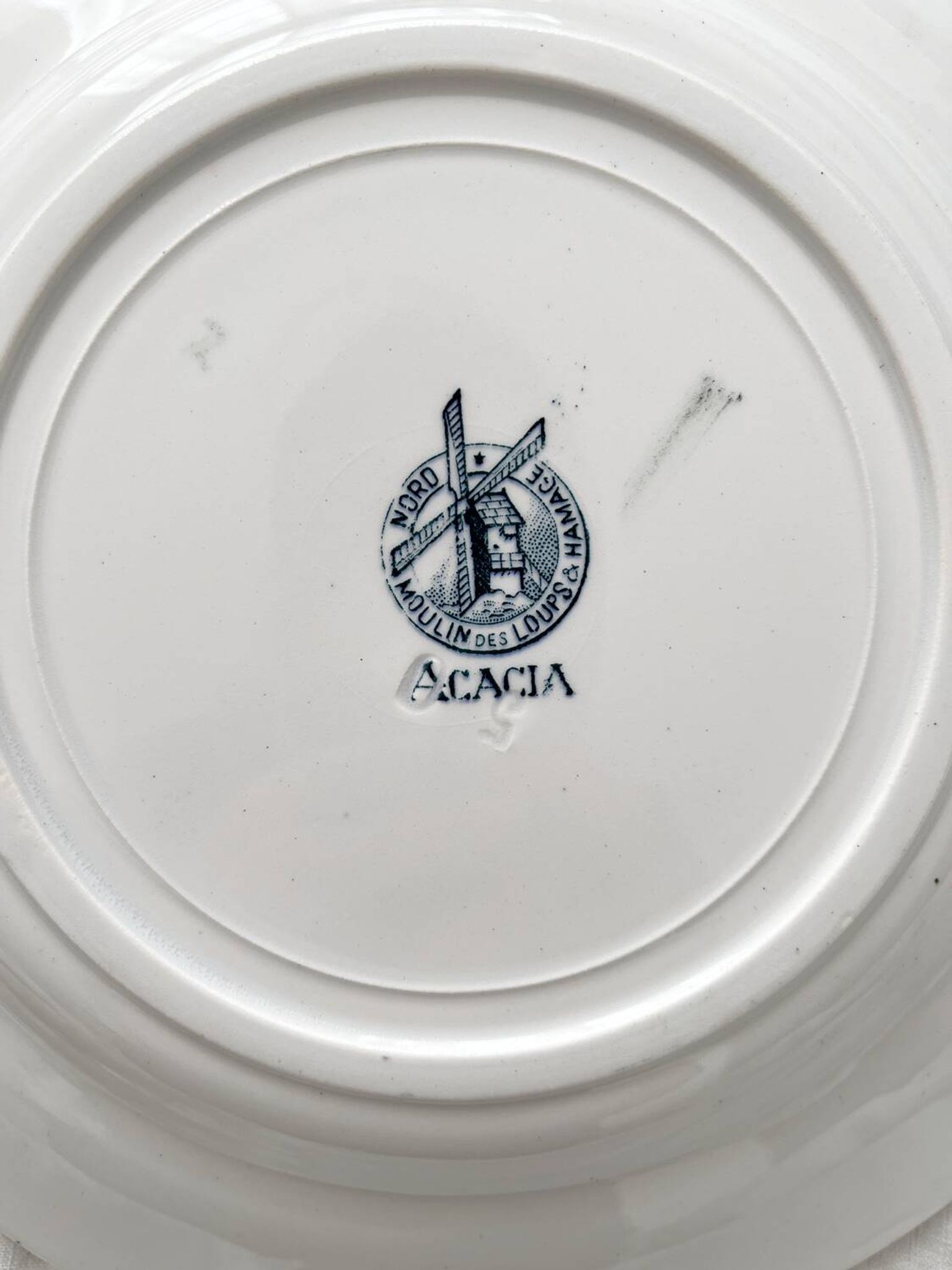 10 flat plates in iron earth “Acacia” Moulin des Loups and Hamage