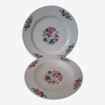 Ensemble de 2 assiettes fleuries Scherzer