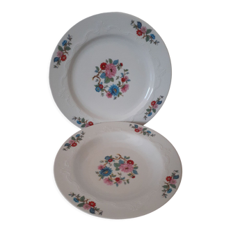 Ensemble de 2 assiettes fleuries Scherzer