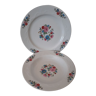 Ensemble de 2 assiettes fleuries Scherzer