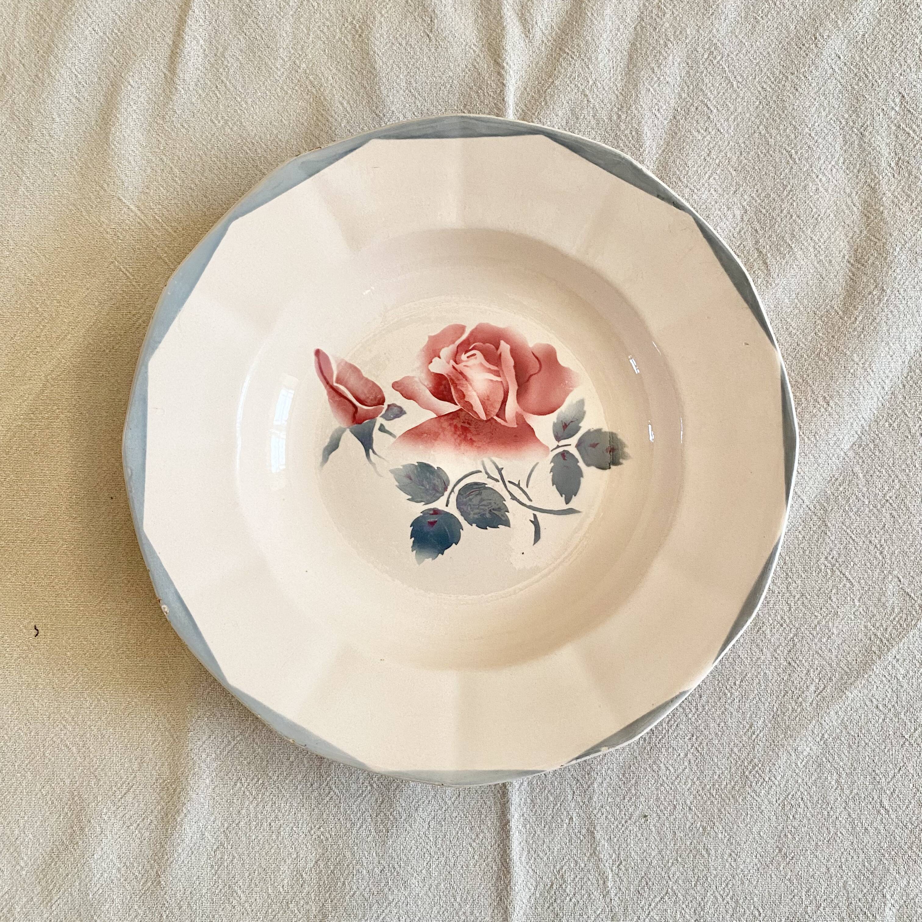 Digouin iron earth soup plates