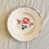 Digouin iron earth soup plates